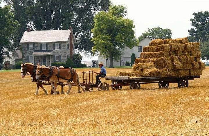 Amish Farmlands